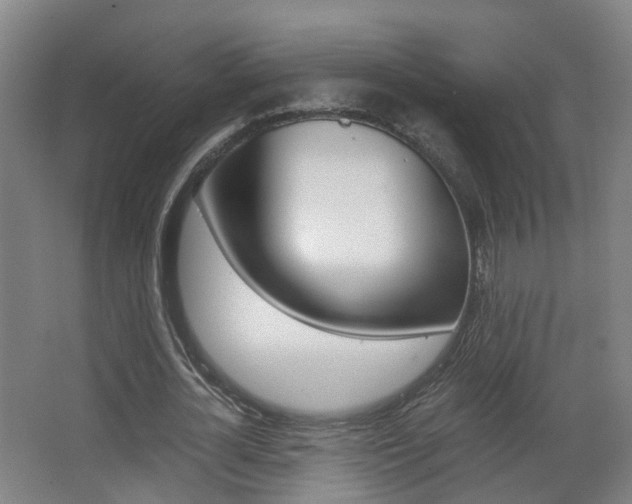 X0000063440724200601200928