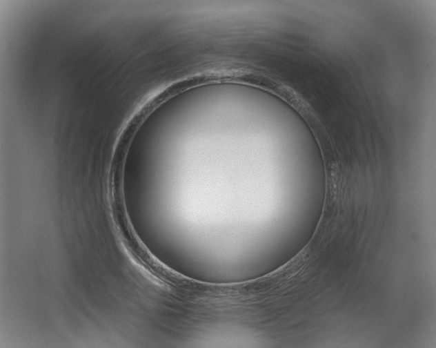 X0000063440726200601200928