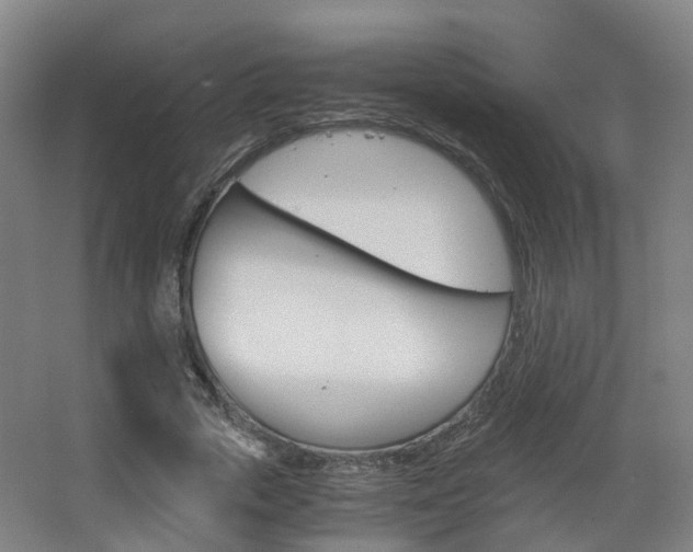 X0000063440729200601200928