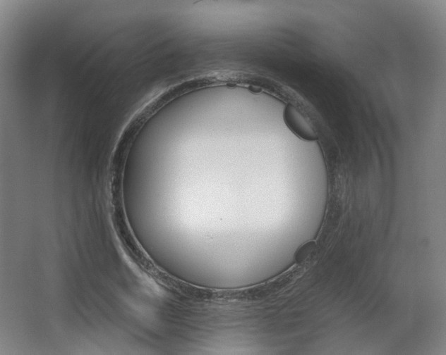 X0000063440730200601200928