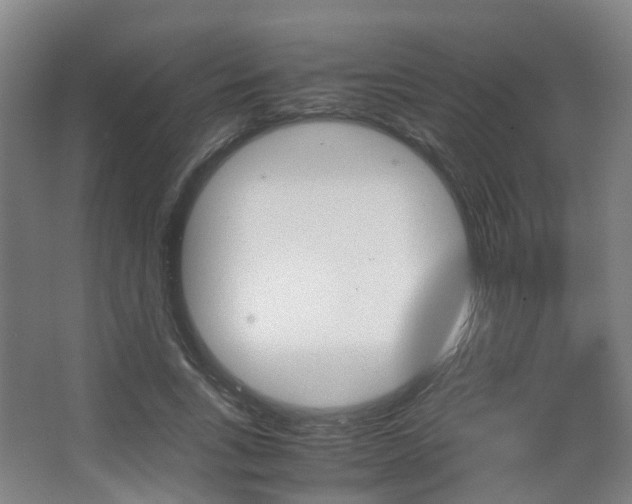 X0000063440735200601200928