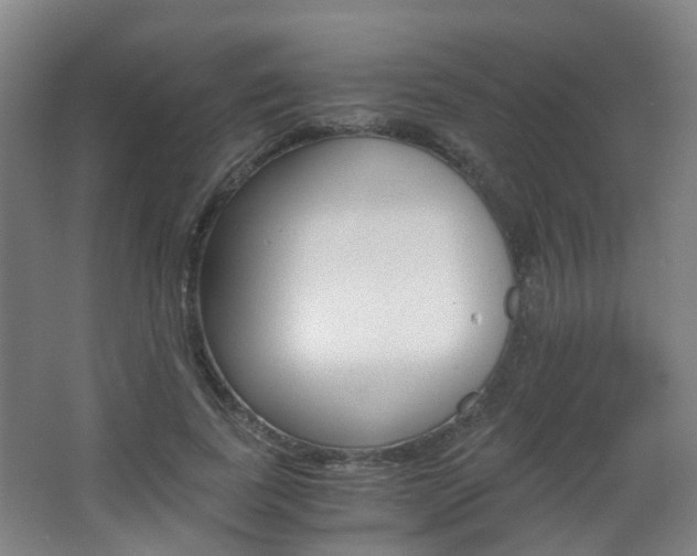 X0000063440739200601200928
