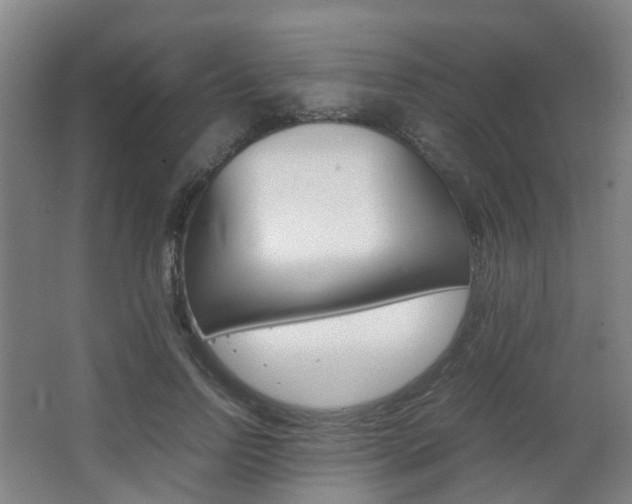 X0000063440742200601200928