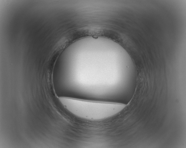 X0000063440744200601200928
