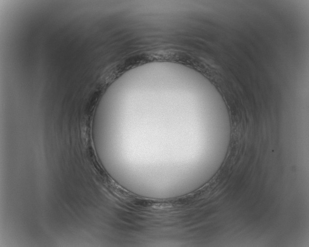 X0000063440749200601200928