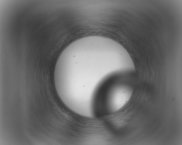 X0000063440750200601200928