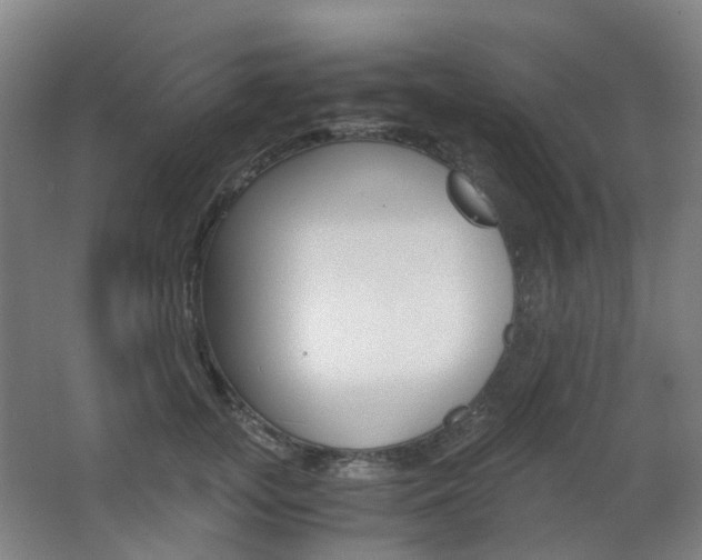 X0000063440755200601200928