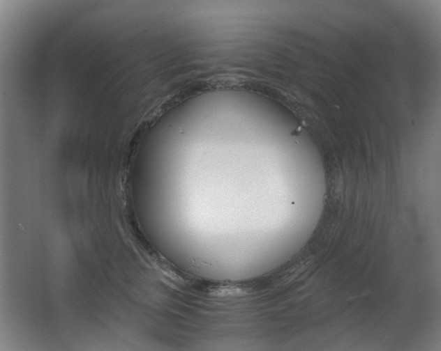 X0000063440759200601200928