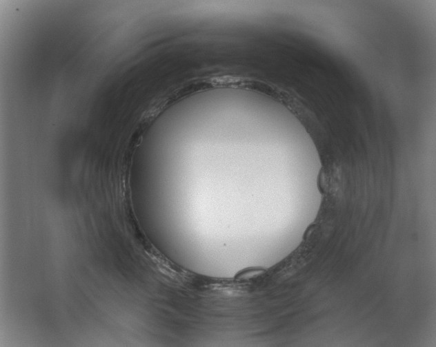 X0000063440763200601200928