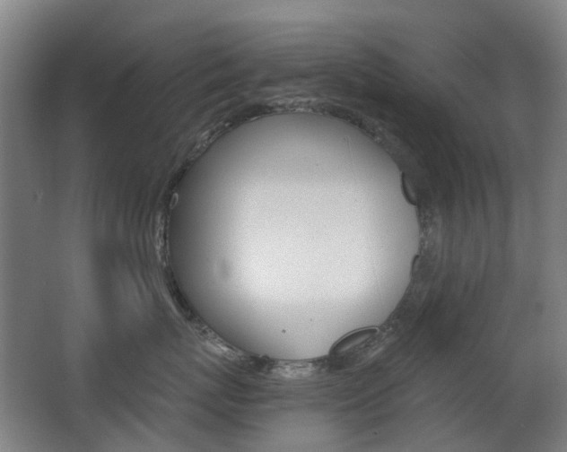 X0000063440767200601200928