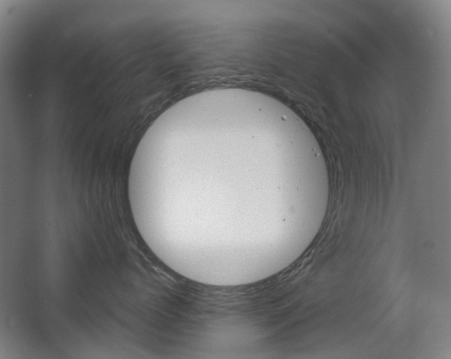 X0000063440768200601200928