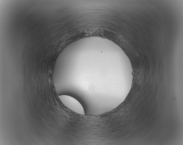 X0000063440770200601200927
