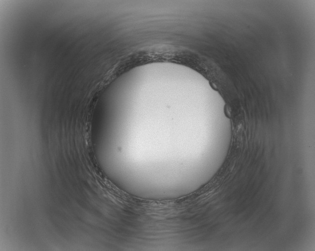 X0000063440772200601200927