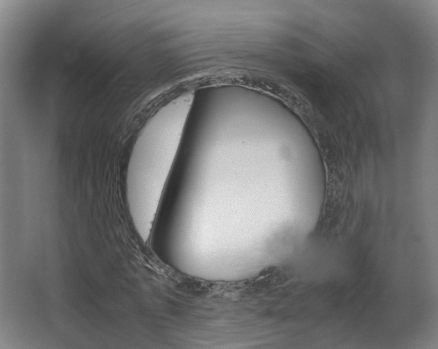 X0000063440773200601200927