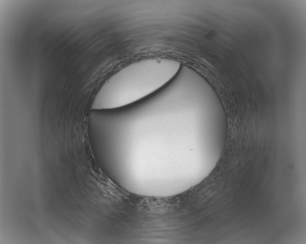 X0000063440774200601200927