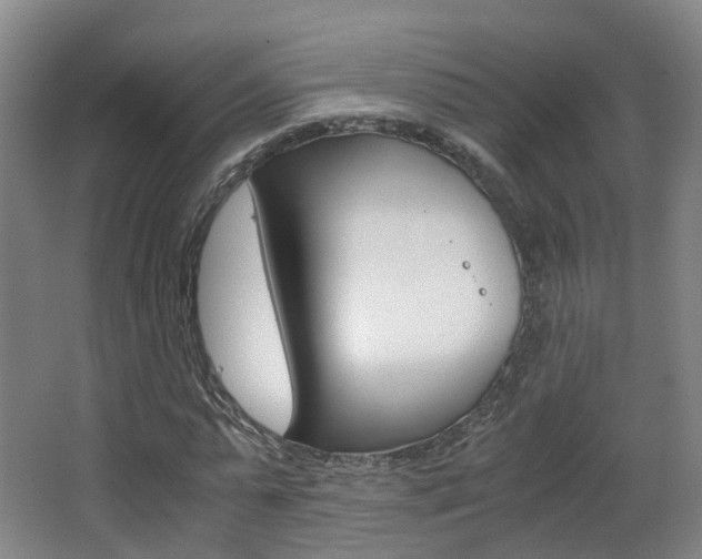 X0000063440775200601200927