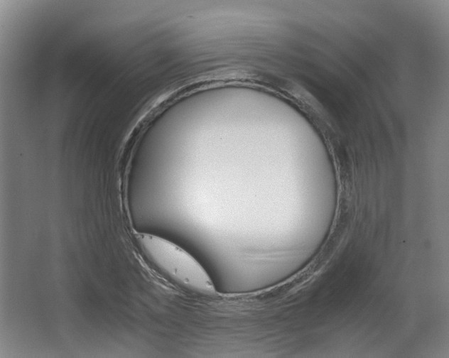 X0000063440781200601200927