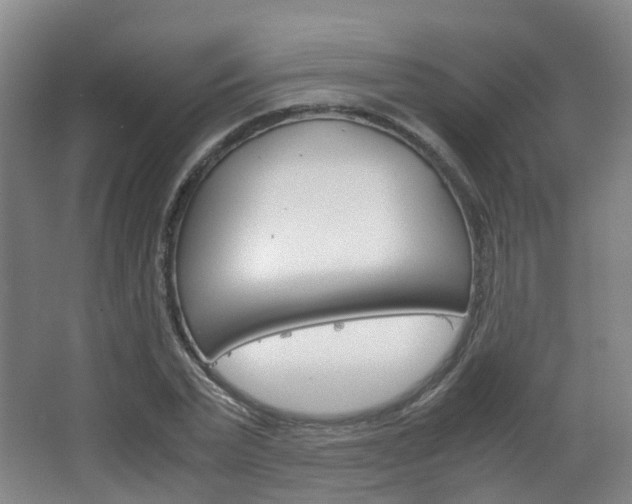 X0000063440783200601200927