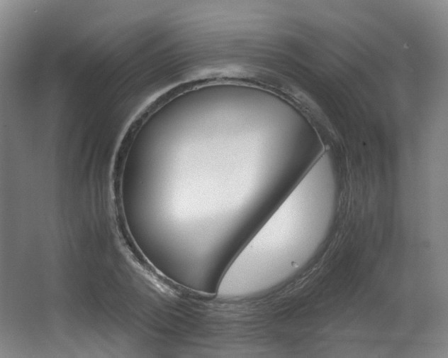 X0000063440784200601200927