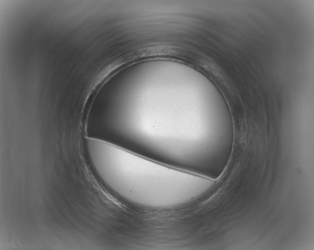 X0000063440786200601200927