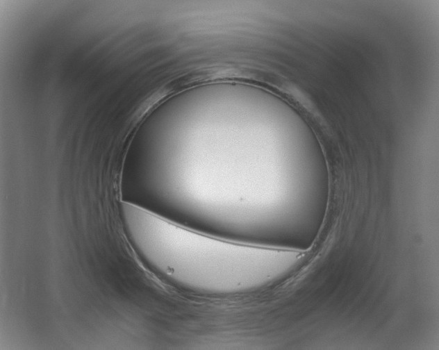 X0000063440793200601200927