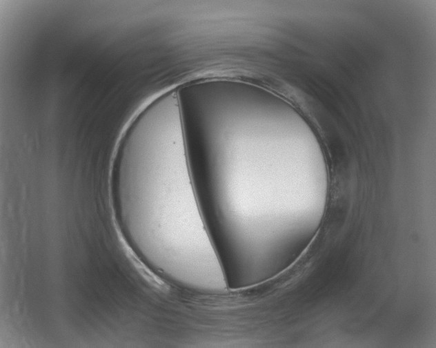 X0000063440795200601200927