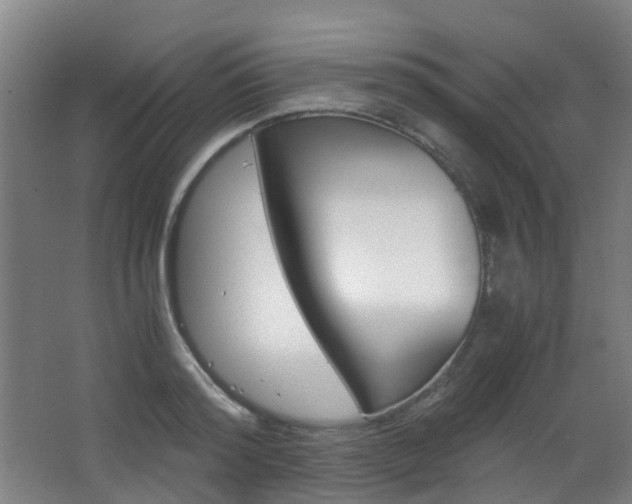 X0000063440796200601200927