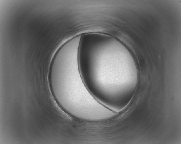 X0000063440797200601200927