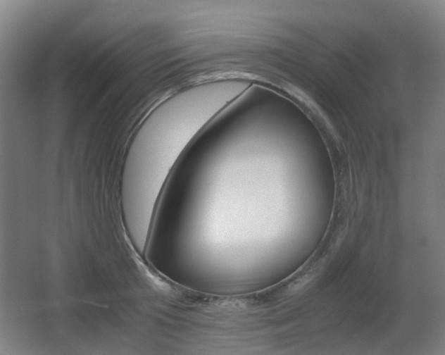 X0000063440801200601200927