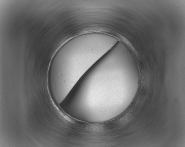 X0000063440802200601200927
