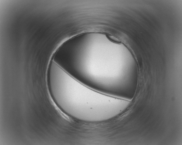 X0000063440803200601200927