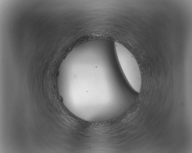 X0000063440817200601200926