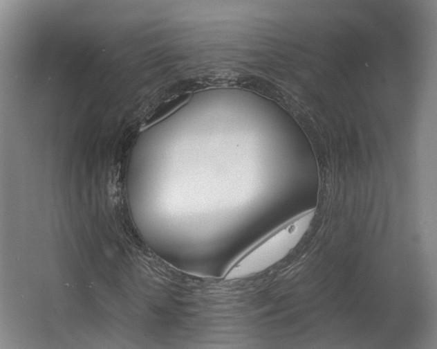 X0000063440818200601200926