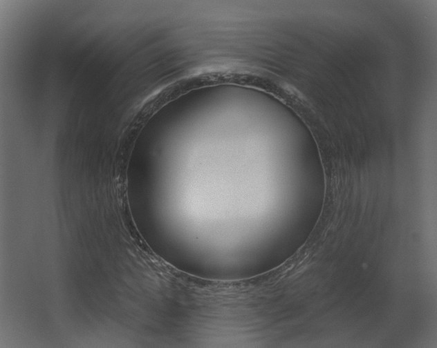 X0000063440822200601200926