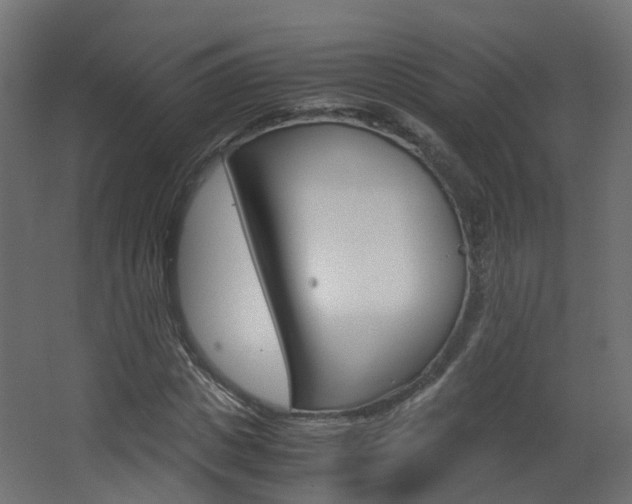 X0000063440825200601200926