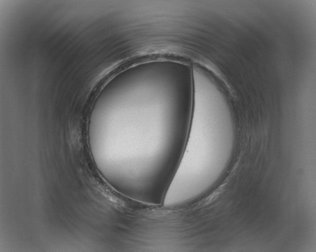 X0000063440826200601200926