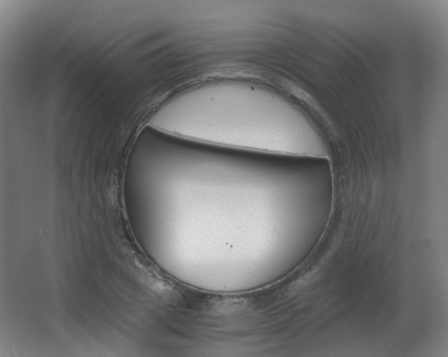 X0000063440833200601200926