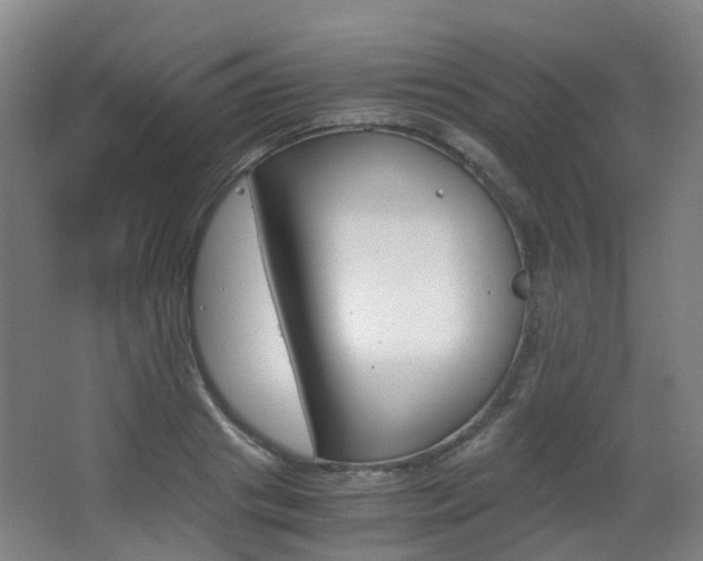 X0000063440841200601200926