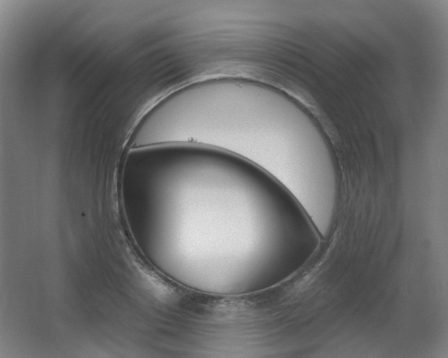 X0000063440842200601200926