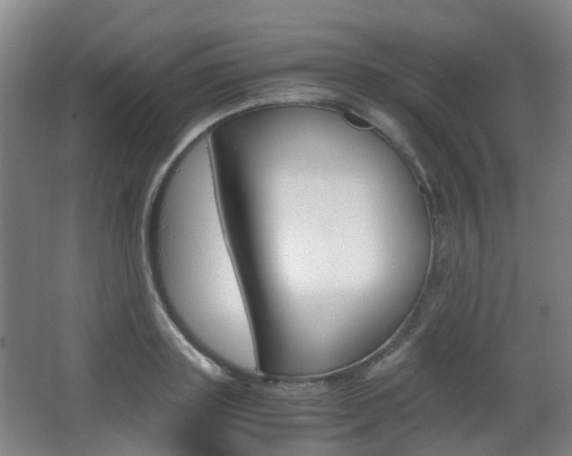 X0000063440843200601200926