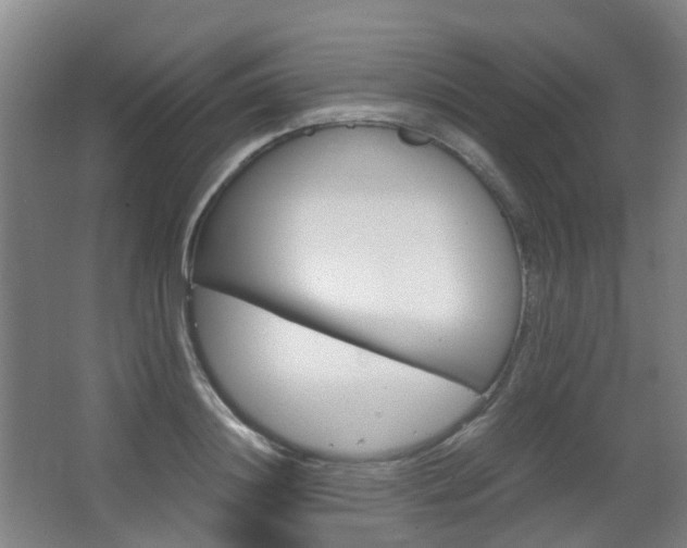 X0000063440844200601200926