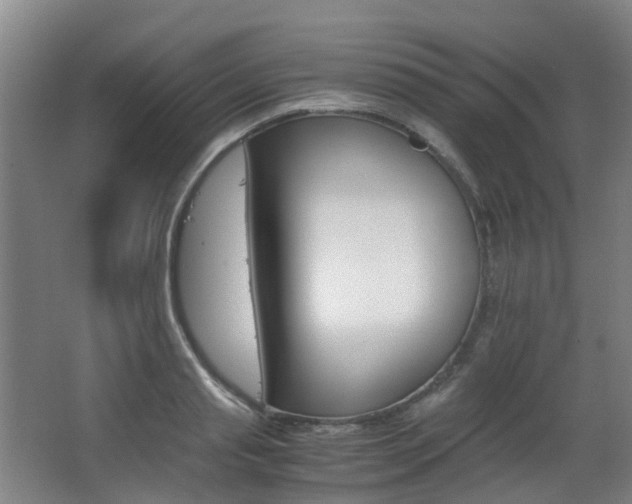 X0000063440845200601200926
