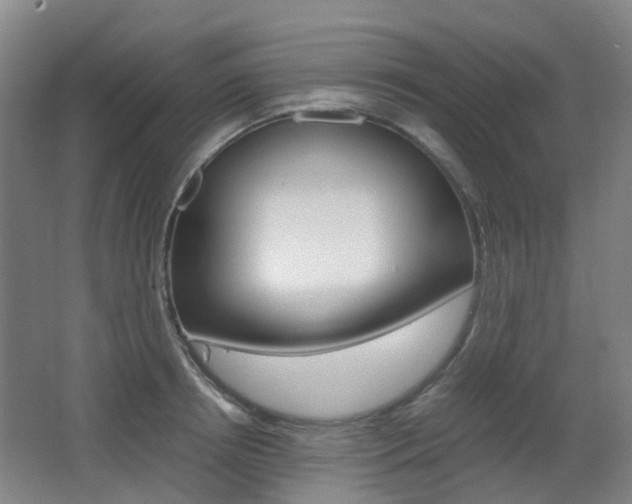 X0000063440850200601200926