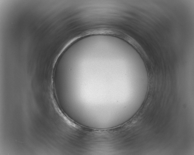 X0000063440852200601200926