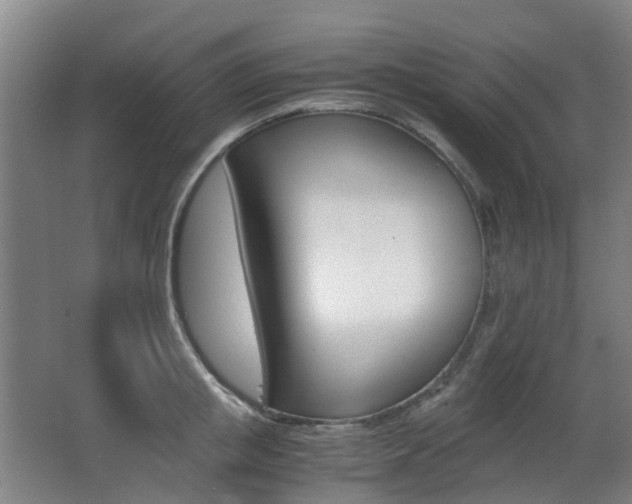 X0000063440853200601200926