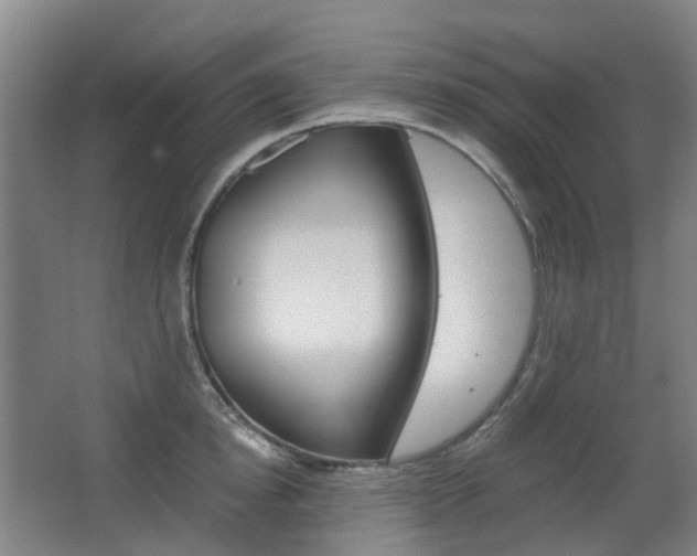 X0000063440854200601200926