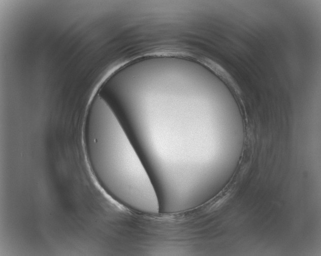X0000063440855200601200927