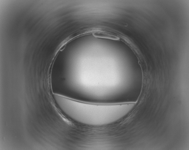 X0000063440858200601200927