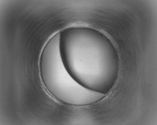 X0000063440864200601200927