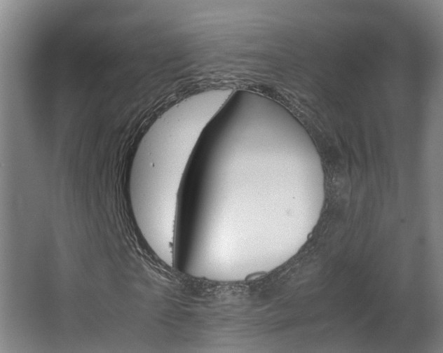 X0000063440865200601200926